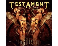 Testament - Gathering  LP